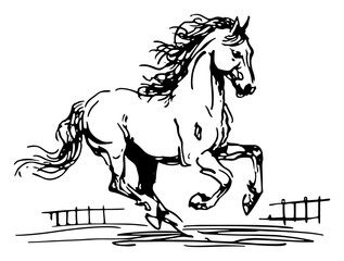 Galloping horse running fast near wooden fence hand drawn vector sketch illustration of farm animal motion