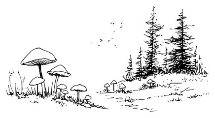 Hand drawn forest landscape with wild mushrooms and pine trees Vector sketch illustration of nature woods and fungus © Kaz