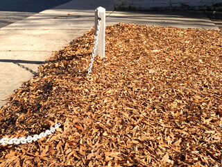 NC Cornelius Low Chain, High Leaves 2025