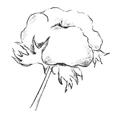 winter foliage esp - cotton