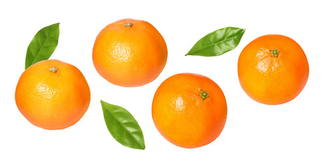 Fototapeta premium Fresh tangerines and green leaves falling on white background. Citrus fruit