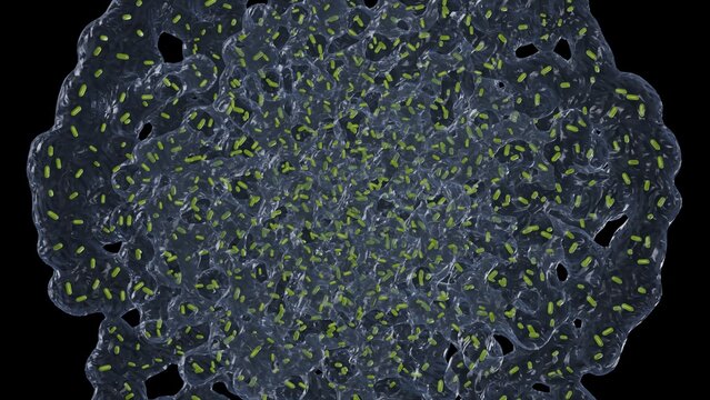 Biofilm formation on flat surface. Buildup of biofilm forming on solid material. 3d render illustration.
