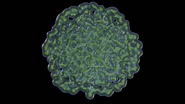 Biofilm formation on flat surface. Buildup of biofilm forming on solid material. 3d render illustration.