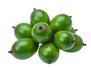 A cluster of smooth, green, round fruits isolated against a black background, featuring their rounded form and smooth skin