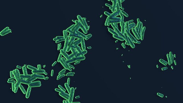 Bacterial Cell Division Microorganisms multiplying 3D animation for microbiological research, antibiotic resistance awareness, and health science education