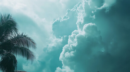 A cinematic and moody tropical scene featuring a dramatic teal sky with voluminous storm clouds looming over a silhouetted palm tree