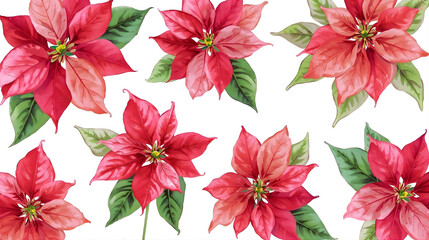 poinsettia flower art wall paper cristmas