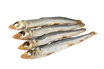 透明背景（png）に焼きうるめ（丸干し）