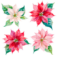 poinsettia flower clip art cristmas