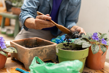 Person repotting plants, adding soil to pots