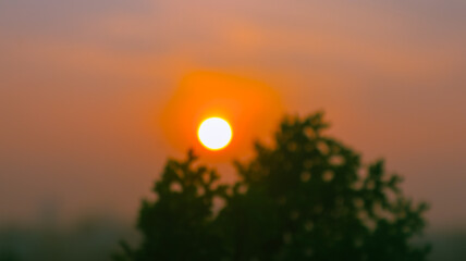 Rich Colorful Nature Background Vibrant Outdoor Scenery