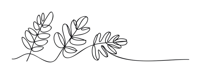 Minimalist line drawing of delicate botanical branches with leaves perfect for organic branding and natural product backgrounds