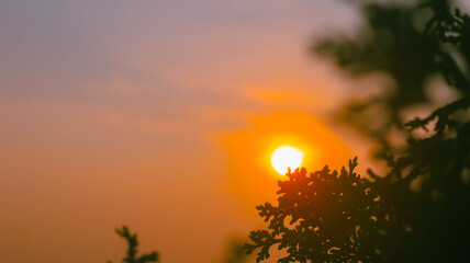 Rich Colorful Nature Background Vibrant Outdoor Scenery