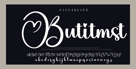 signature Font Calligraphy Logotype Script Brush Font Type Font lettering handwritten 