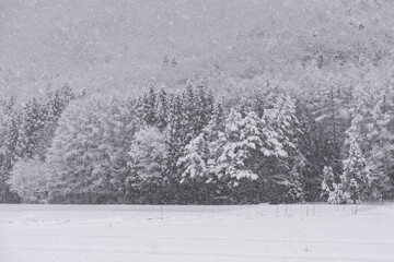 Naklejka premium 冬 雪景色