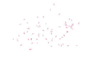 Celebrate with a flourish of pink confetti, perfect for adding a touch of whimsical joy to your designs, inviting celebration and festive cheer
