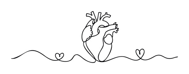 One line drawing of a human heart with flowing lines and heart shapes, symbolizing love and life for medical or romantic themes