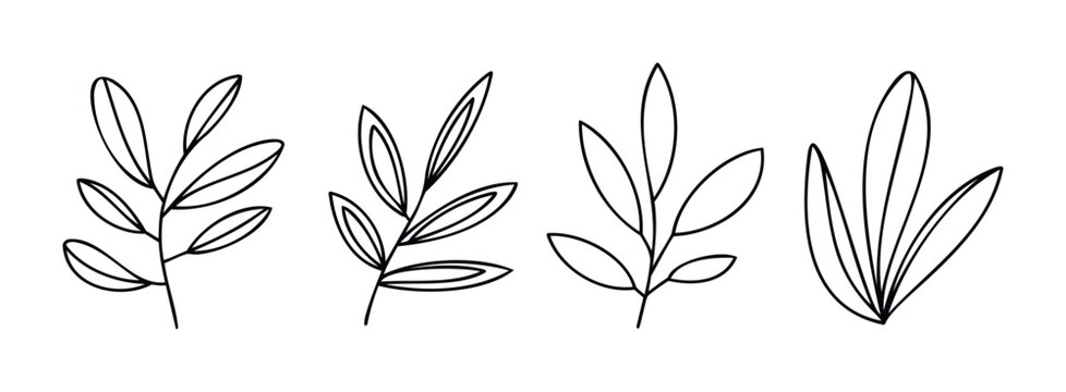 Minimalist line drawing of four different plant stems with leaves, perfect for organic branding, natural product packaging, or botanical website graphics.