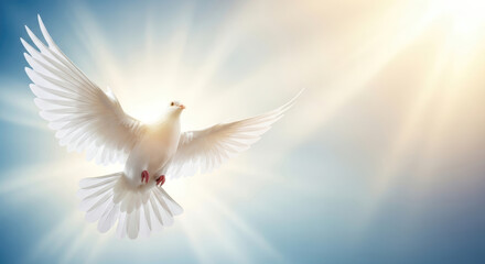 Obraz premium A majestic white dove with widespread wings gracefully soars through a luminous, radiant sky, symbolizing the New Testament Holy Spirit.