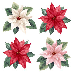 poinsettia flower clip art cristmas