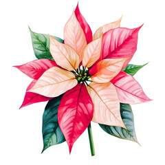 poinsettia flower clip art cristmas