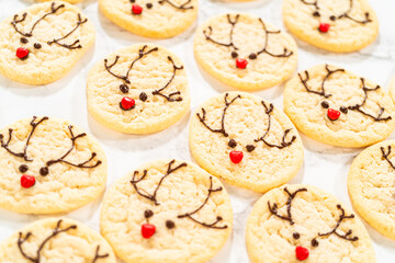 Box of Easy Last Minute Reindeer Sugar Cookies