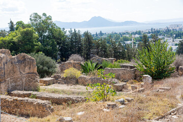 Ruins of the ancient city of Carthage