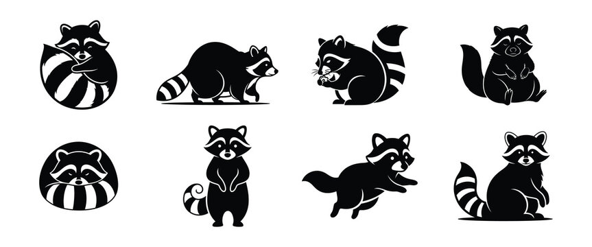 Collection of cute raccoon character icons in a simple graphic style