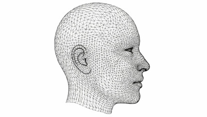 Wireframe Human Head Profile View Digital Art.