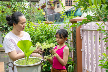Woman and a girl are holding plants in a pot