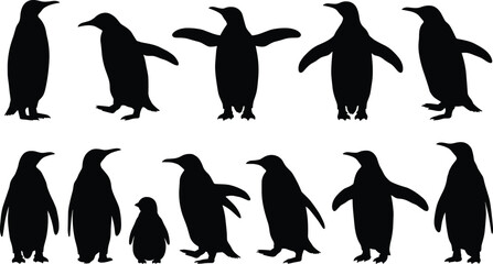 Naklejka premium Set of twelve black penguin silhouettes in various poses including standing, walking, and with wings spread, representing wildlife, Antarctic animals, and nature vector collection.