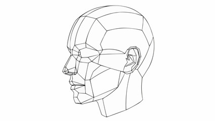 Detailed Geometric Head Profile Drawing for Artistic Study.