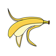 Banana. banana fruit.peeled banana. cut banana cartoon vector icon design illustration. bananas