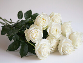Elegant Bouquet of White Roses on Plain Background