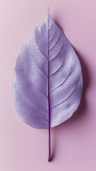 Lavender Leaf on Soft Pink Background for Creative Design Projects