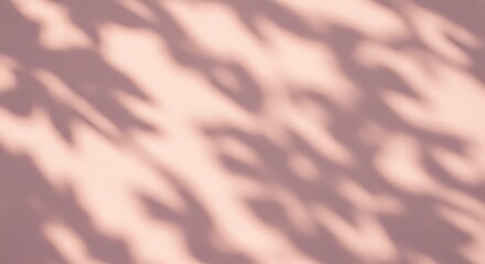 Blush Hues: Soft Leaf Shadows on Rose Wall