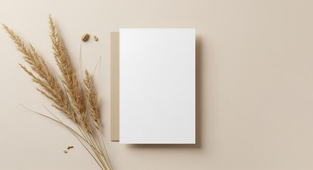 Neutral Hues & Pampas Grace