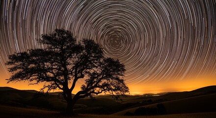 A mesmerizing star trail swirls above a lone tree in a tranquil landscape