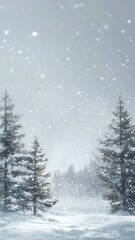 Obraz premium Soft winter snow background with blurred pine trees and gentle falling snow creating bright clean central copyspace without any text