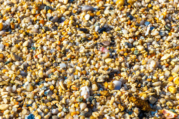 Sand rocks pebbles mussels shells waves Kalim Beach Phuket Thailand.