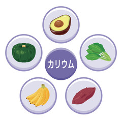 カリウムを多く含む食品のイラストセット　日本語／Potassium-Rich Foods Illustration Set – Japanese Version