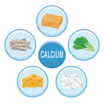 カルシウムを多く含む食品のイラストセット　英語／Calcium-Rich Foods Illustration Set &ndash; English Version