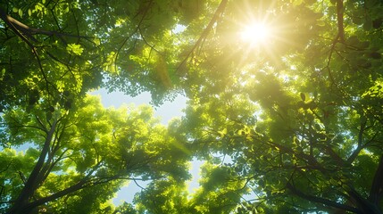 Close-Up of Dewy Red and Orange Fall Leaves