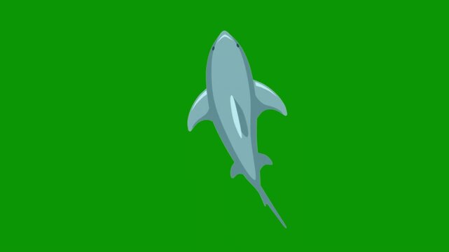 A dolphin on green background and swimming screen an image of green screen animated chromakey background backgrounds cartoonish emotion creative scene style colorful figure expression
