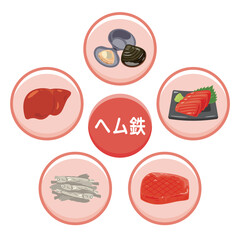 ヘム鉄を多く含む食品のイラストセット　日本語／Heme Iron–Rich Foods Illustration Set – Japanese Version