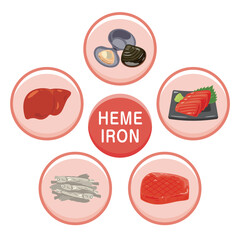 ヘム鉄を多く含む食品のイラストセット　英語／Heme Iron&ndash;Rich Foods Illustration Set &ndash; English Version