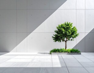 Tree basks in light against modern, minimalist backdrop