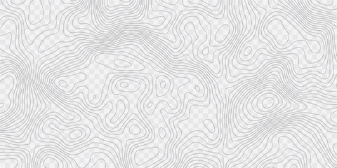 Fototapeta premium Vector white and gold line luxury organic pattern. Japanese style abstract wave, elegant water, contour, topography, cloud elegant texture. 