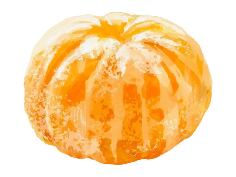 剥きみかんのベクターイラスト (薄皮 筋あり 料理素材)