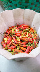 Freshly harvested colorful chili peppers